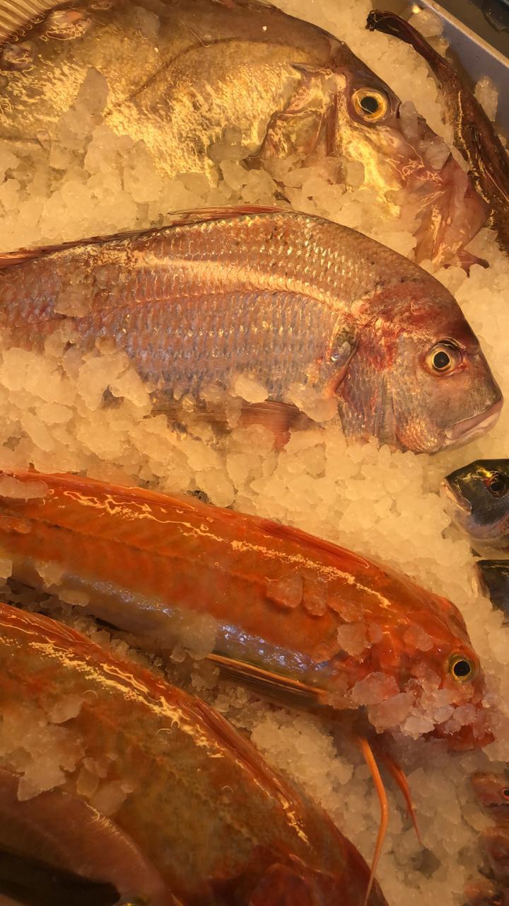 Fish display on ice