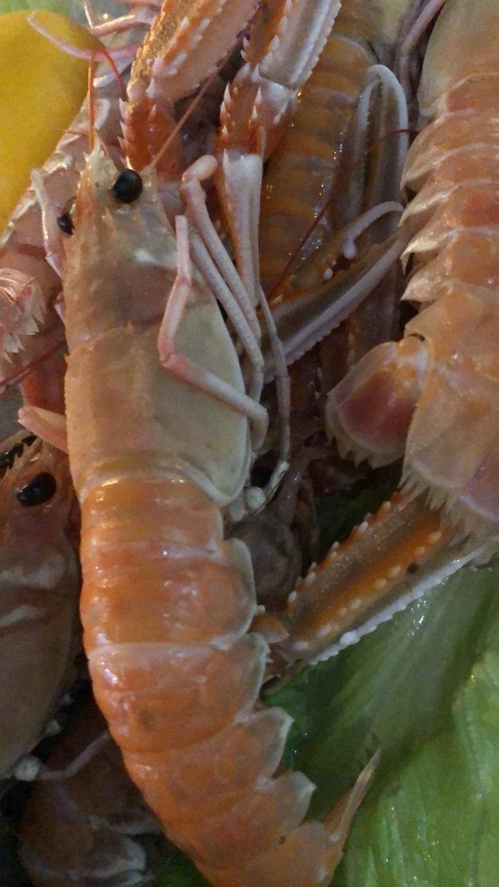 Fresh langoustines
