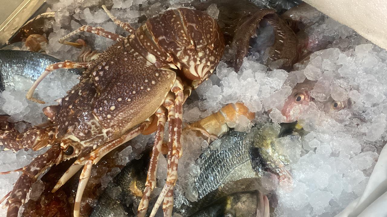 Fresh lobster and fish