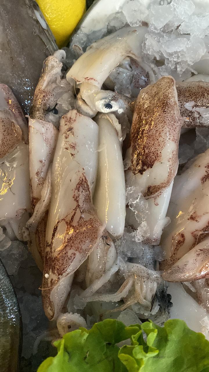 Fresh squid