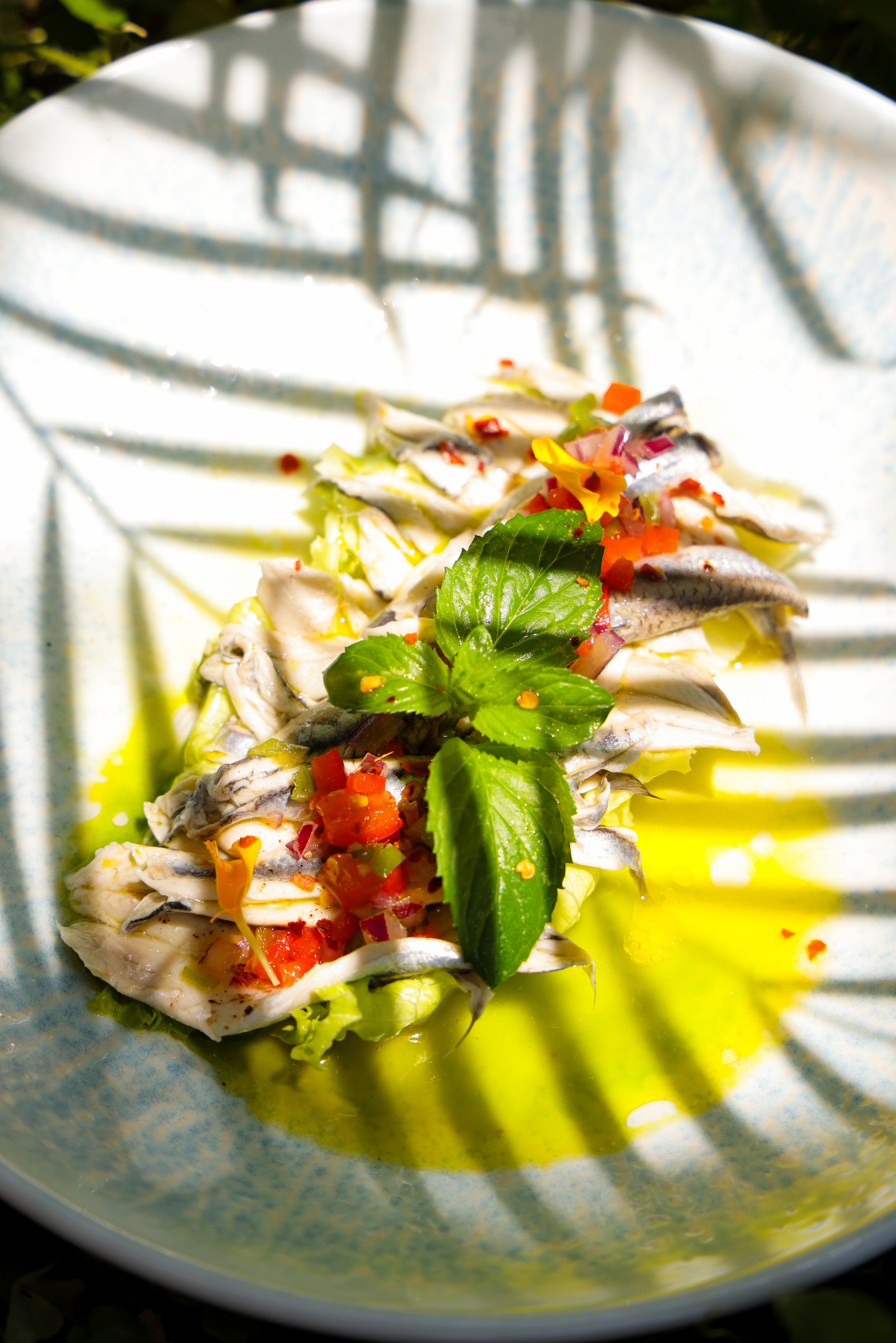 Marinated anchovies with tomato salsa