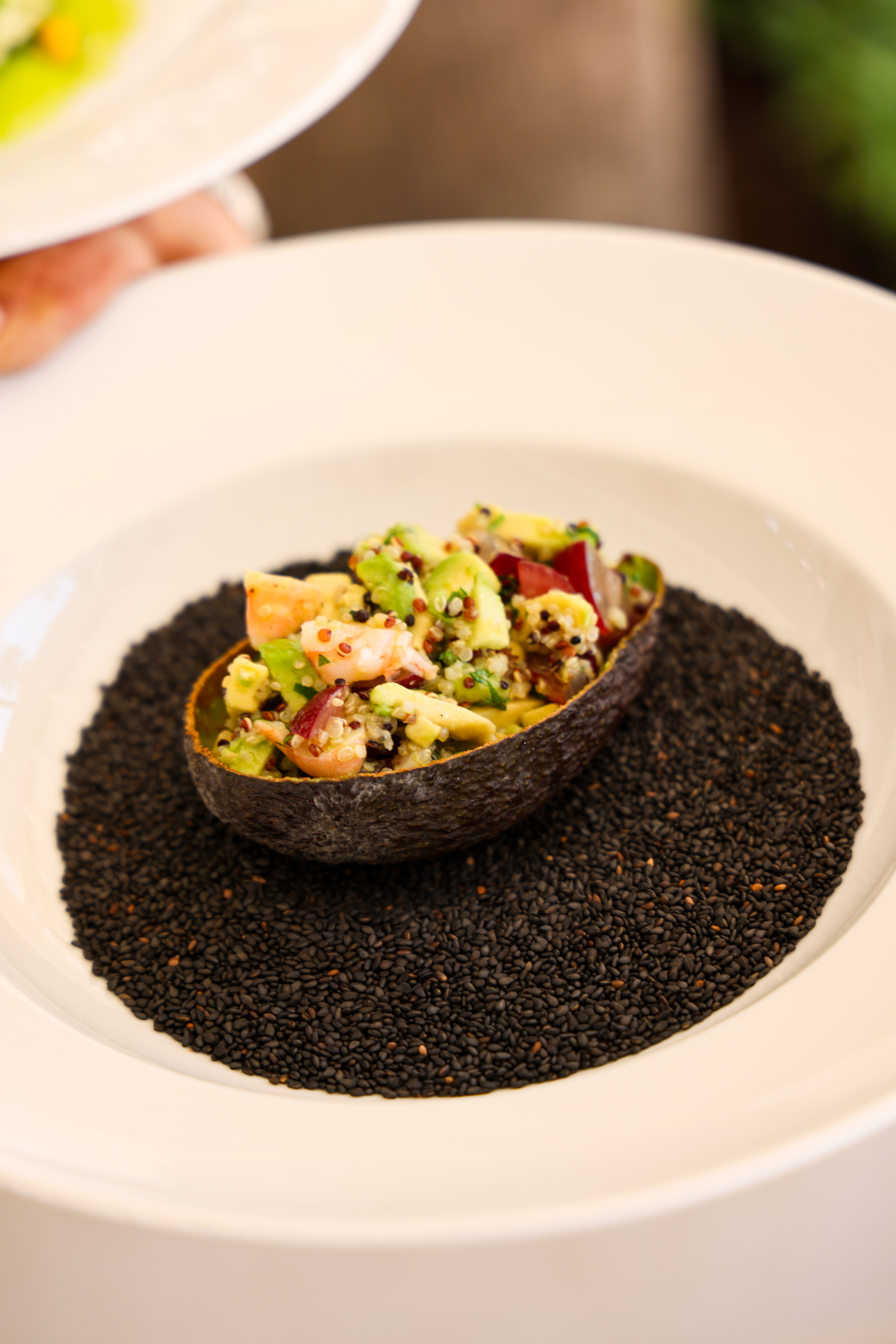 Avocado salad with quinoa and shrimp
