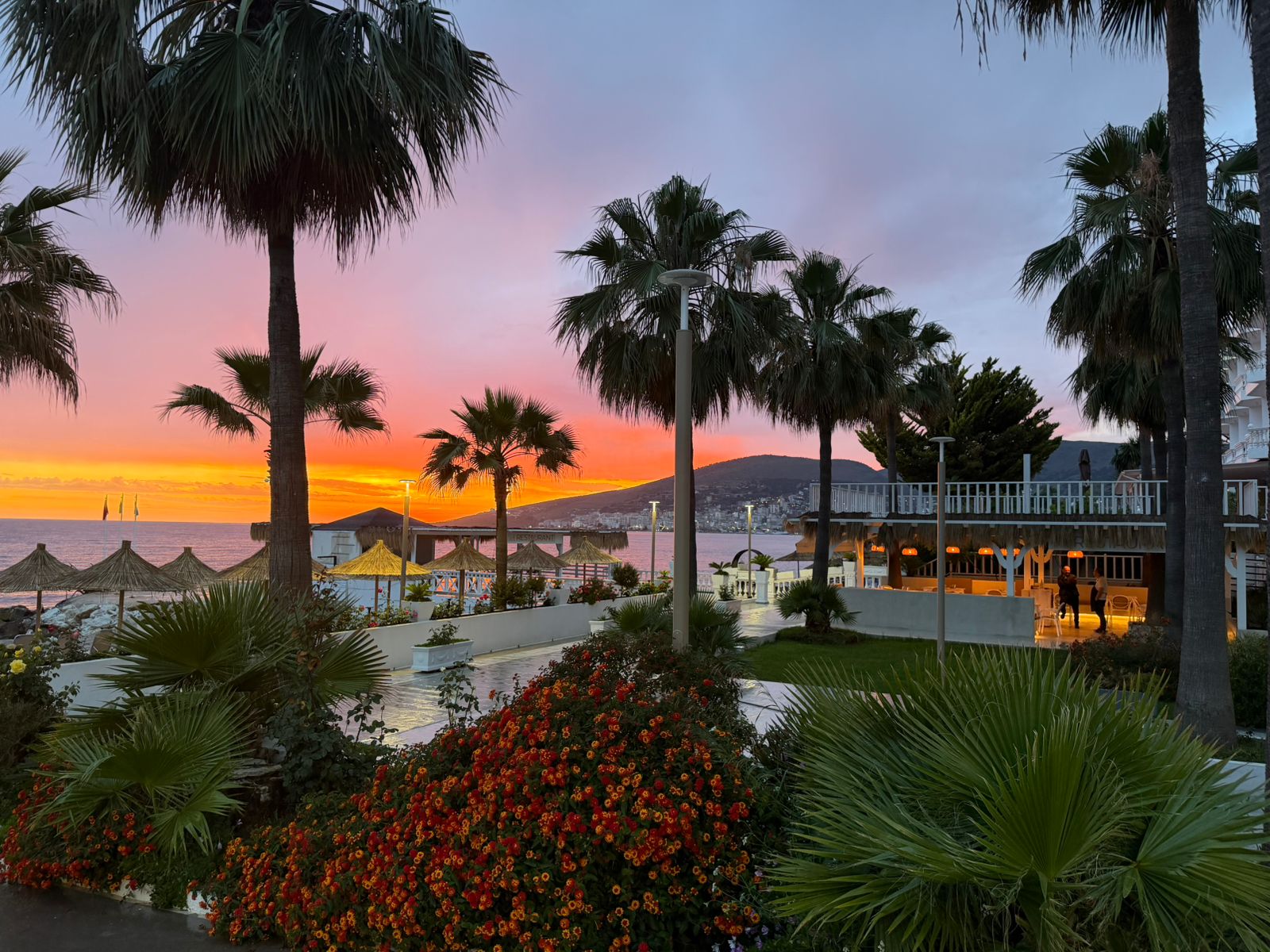 Sol Restaurant exterior with palm trees and Ionian Sea at sunset